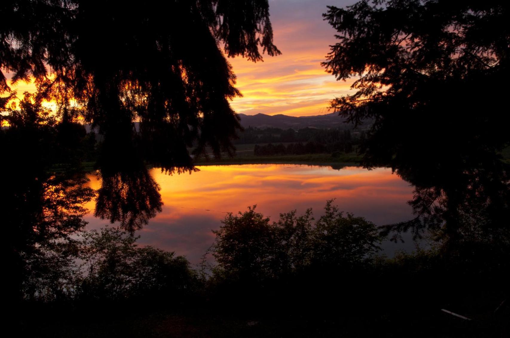Calzolaro Agriturismo Sant'Illuminato المظهر الخارجي الصورة